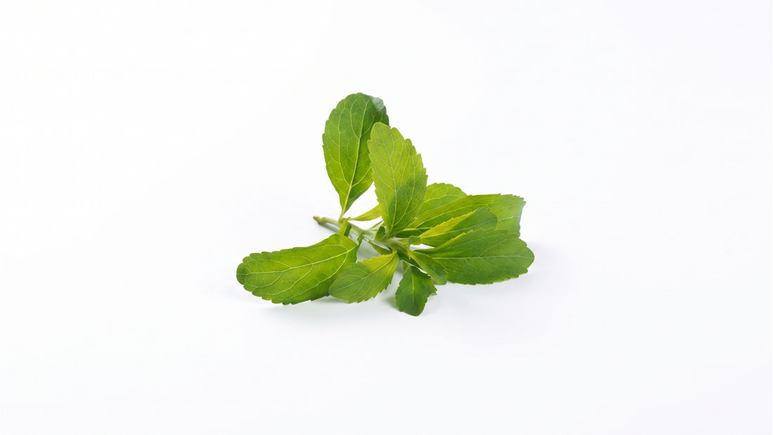 Steviol-Glycoside