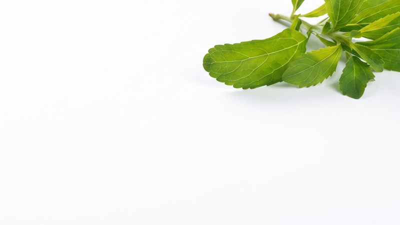 Steviol-Glycoside